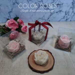 Color Roses